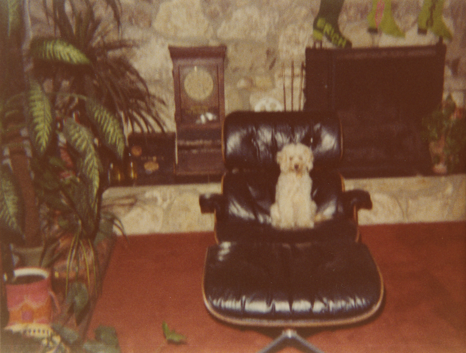 White dog sitting on black leather Eames Lounge Chair in Erich Joiner's childhood home