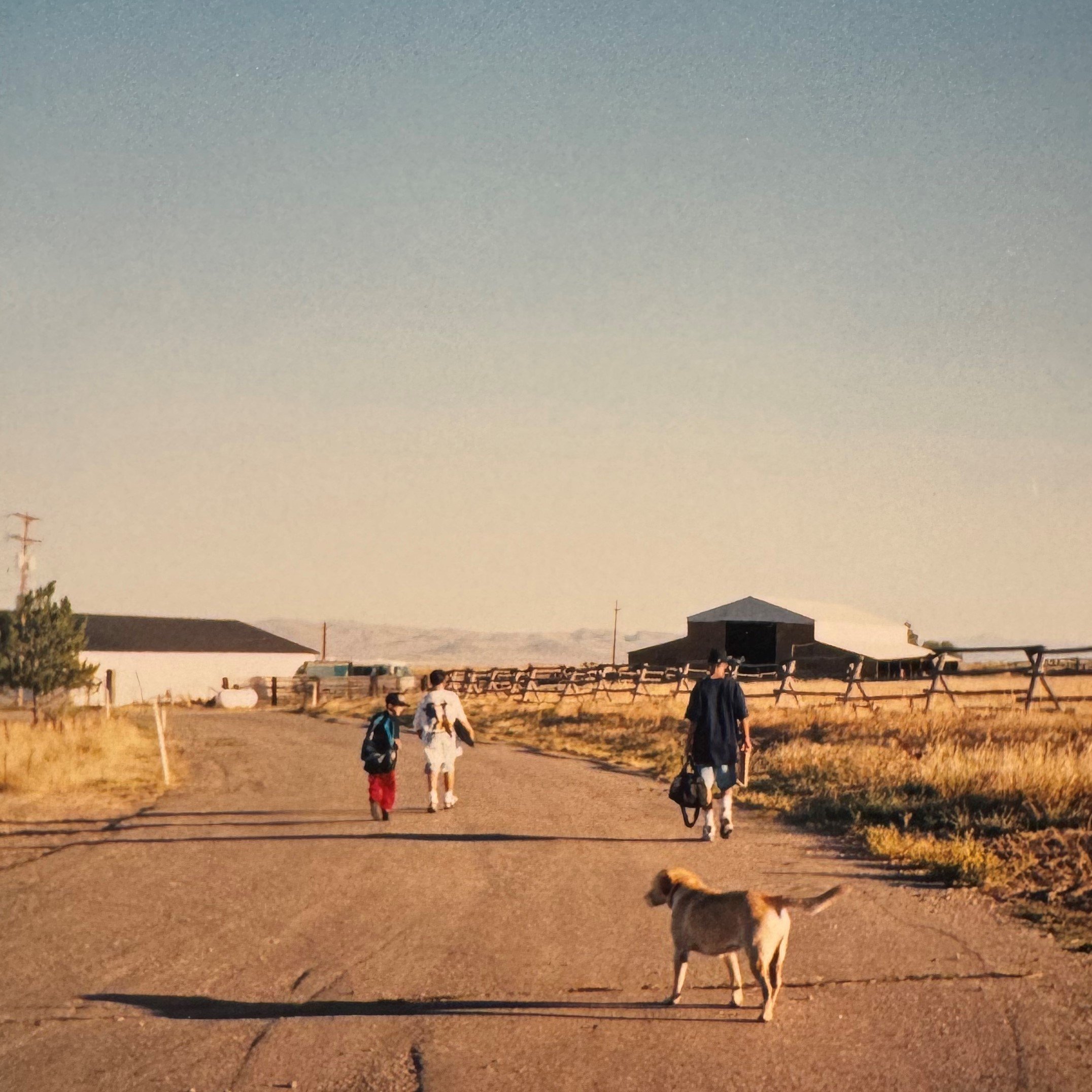 Joe Dangaran and brothers walking down the driveway of their childhood home with yellow lab