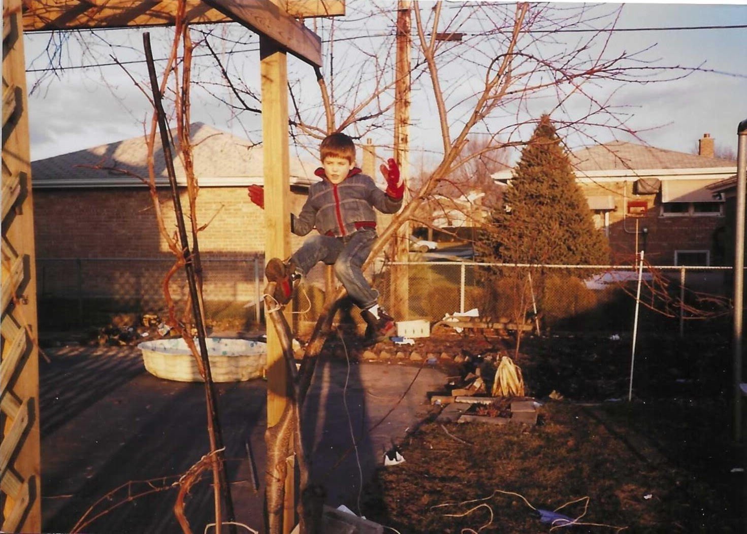 Jonathan Nesci childhood photo sitting in tree in backyard