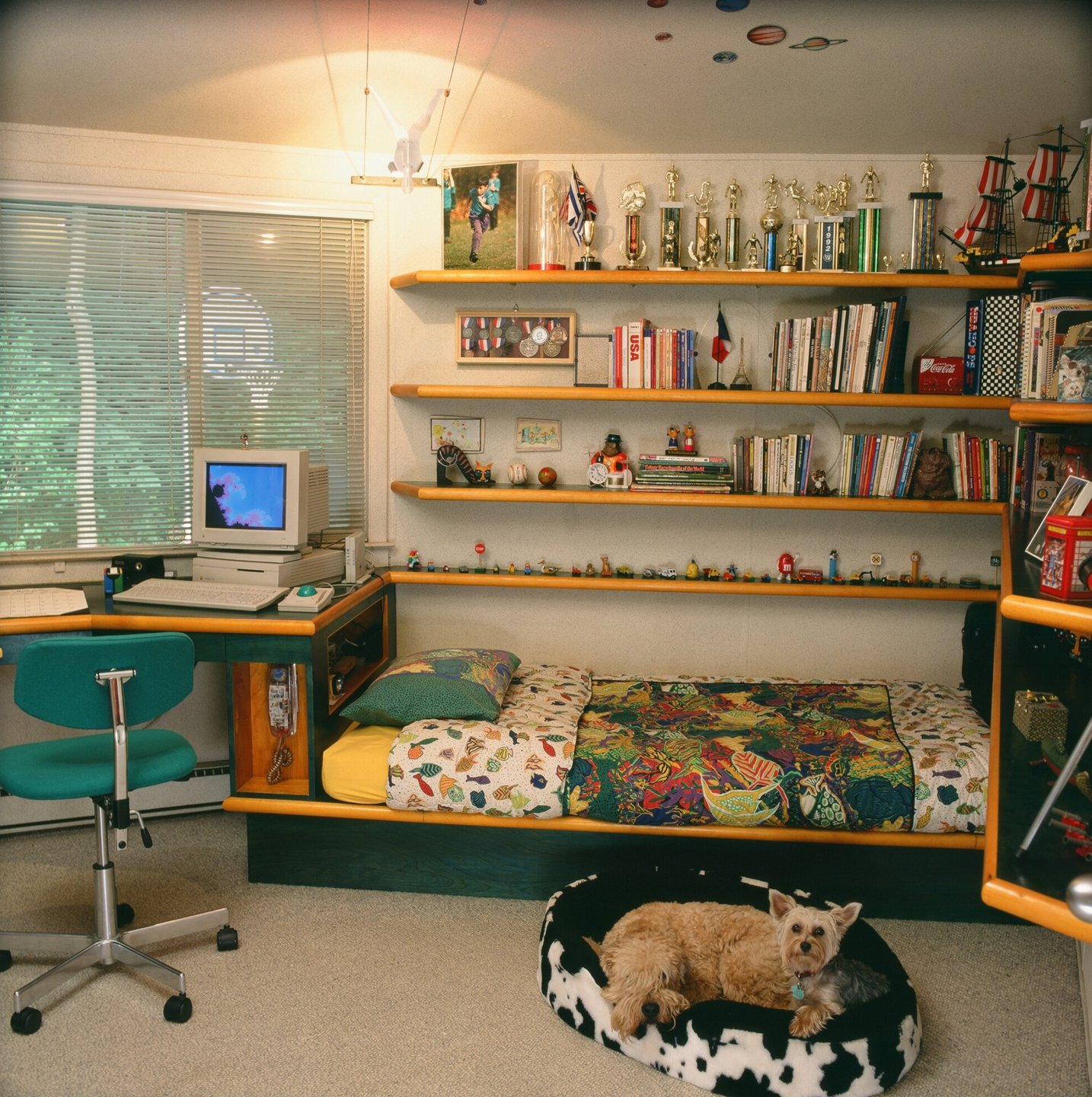 Retro childhood bedroom in Usonia with dog in cow-print dog bed