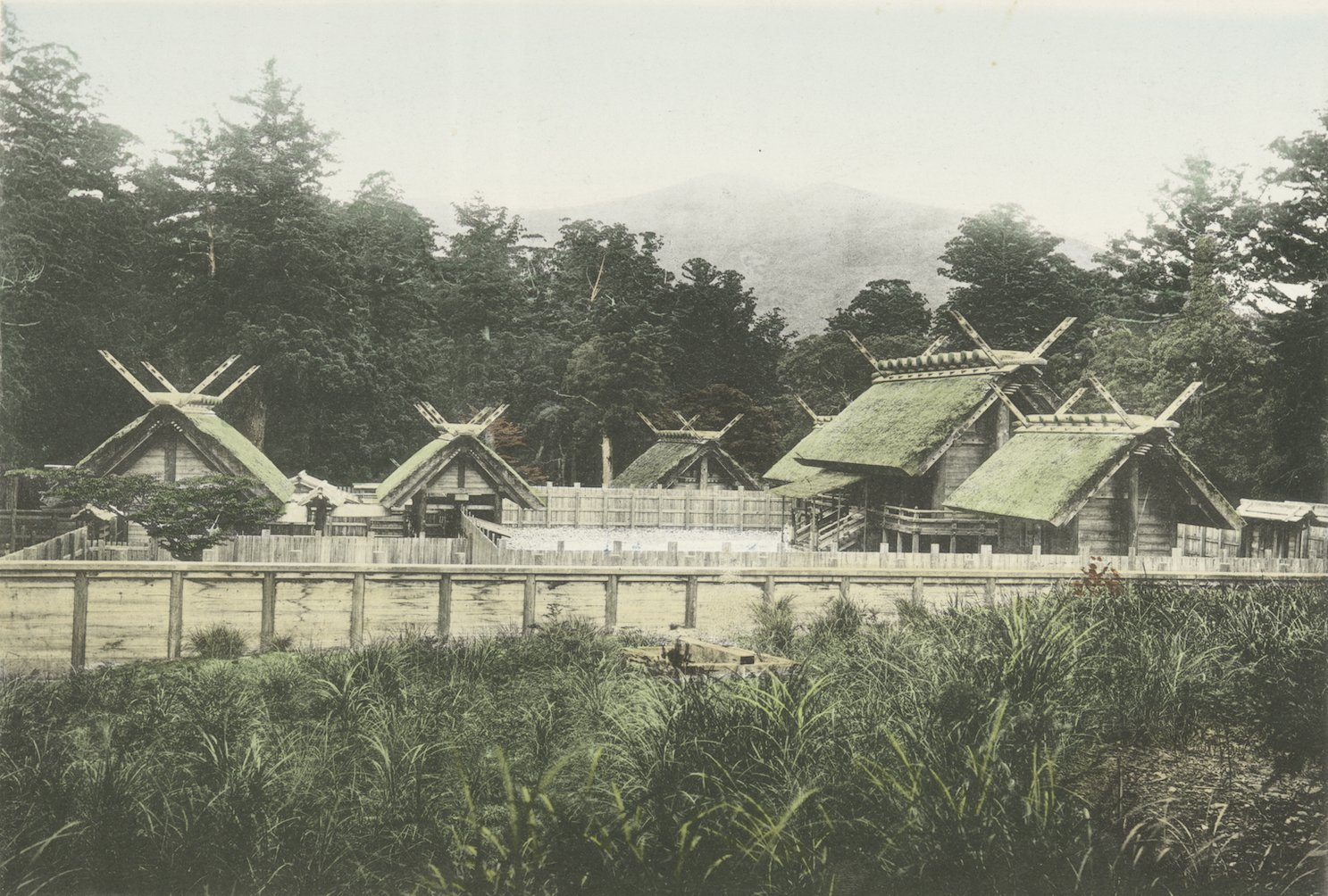 Aged photograph of Japan’s Grand Shrine of Ise, surrounded by trees, in the 1910s