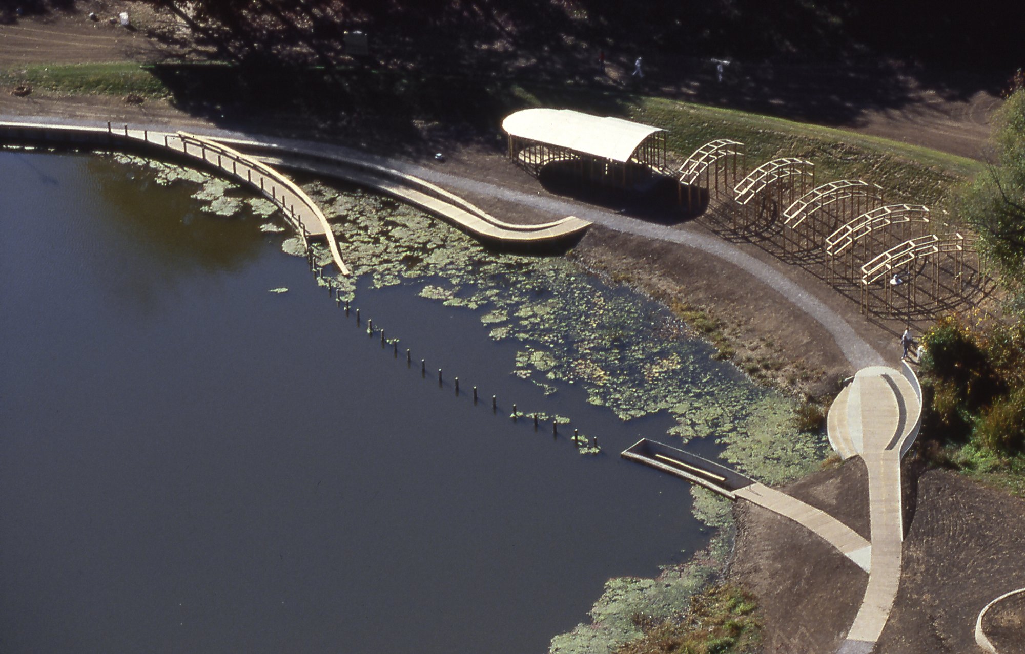 Aerial view of wooden pathway that wades into and under a pond